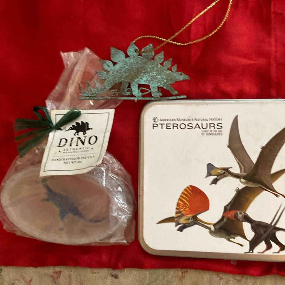 NEW bundle of AMNH dinosaur collectibles🦕🦕🦕🦕🦕👩‍🦱👩‍🦱👩‍🦱👩‍🦱